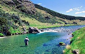 Southland fishing